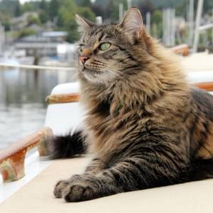 Meet your Posher, Max